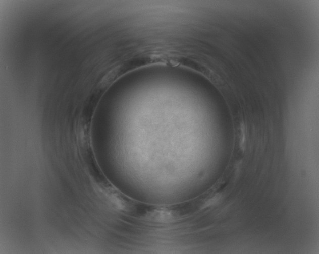 X0000053080276200507111252