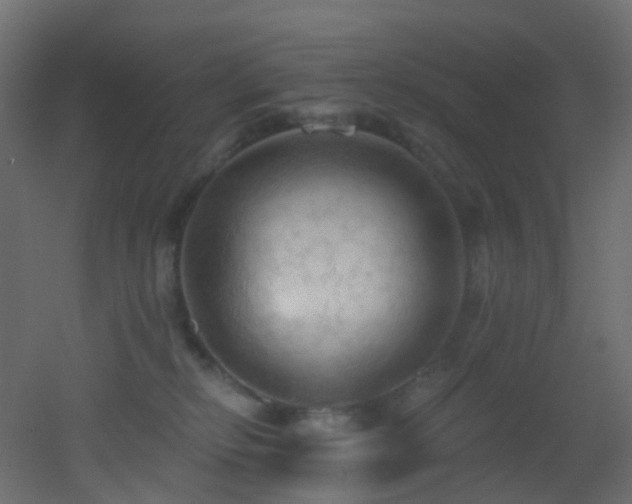 X0000053080278200507111252
