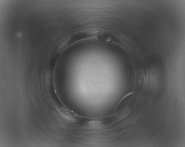 X0000053080279200507111252