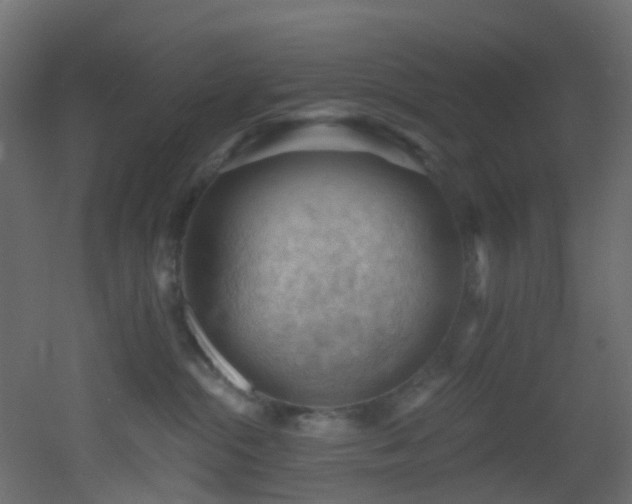 X0000053080284200507111252