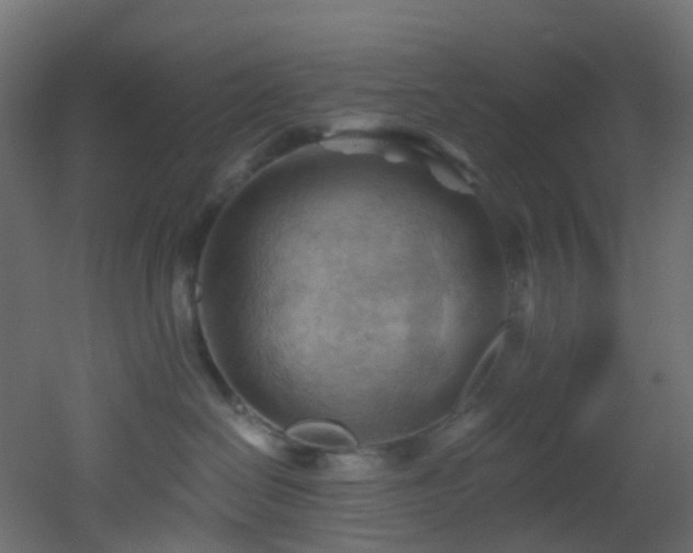 X0000053080286200507111252