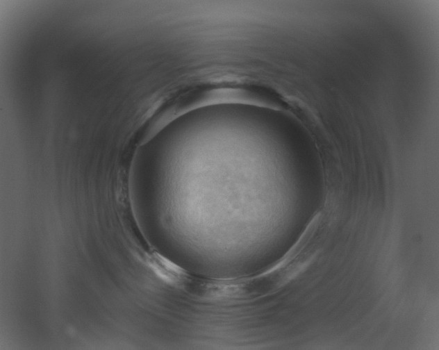 X0000053080288200507111252