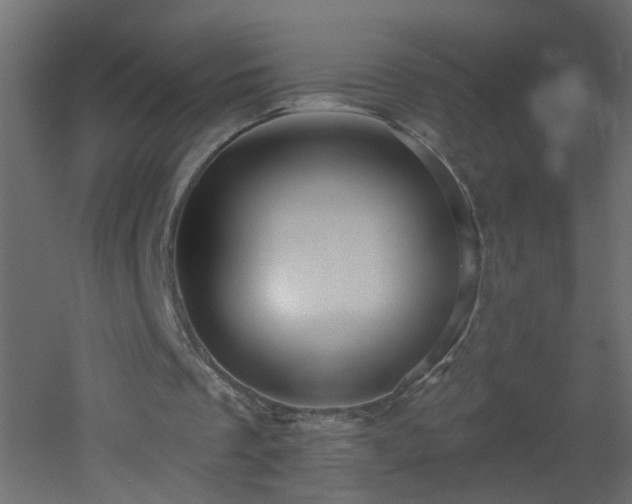 X0000053080289200507111251