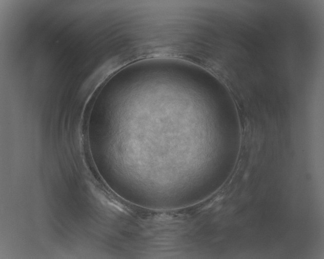 X0000053080290200507111251