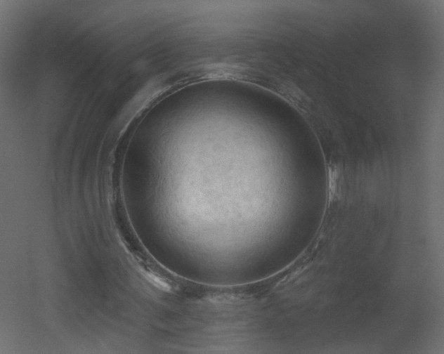 X0000053080291200507111251
