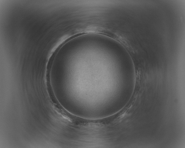 X0000053080292200507111251