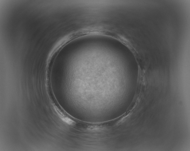 X0000053080293200507111251