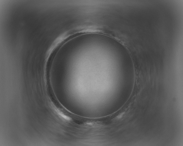 X0000053080296200507111251