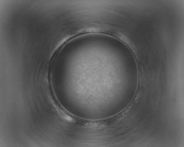 X0000053080297200507111251
