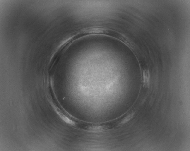 X0000053080301200507111251