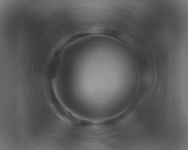 X0000053080303200507111251