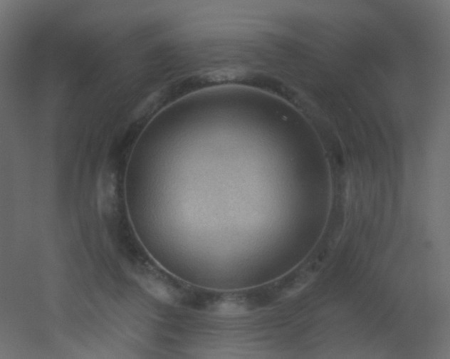 X0000053080308200507111251