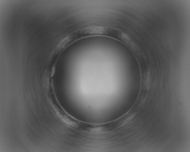 X0000053080309200507111251