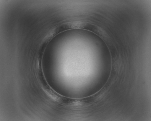 X0000053080310200507111251