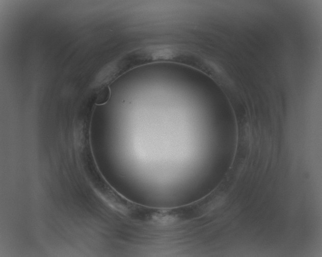 X0000053080311200507111251