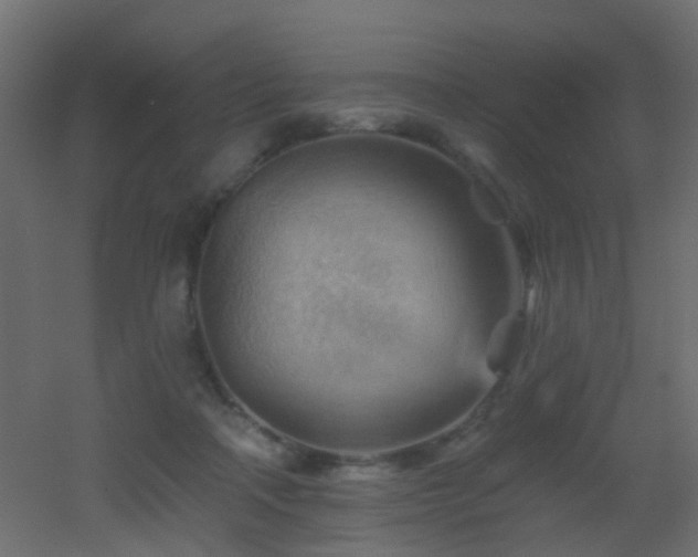 X0000053080314200507111251
