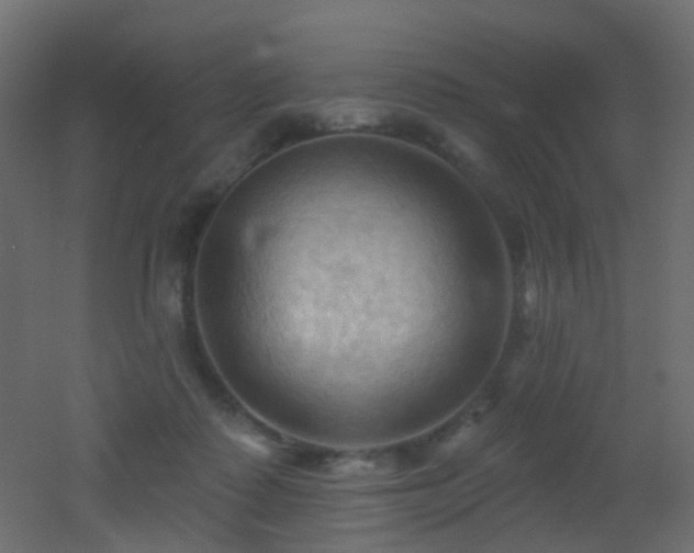 X0000053080315200507111251