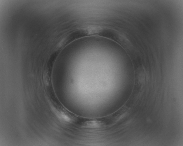 X0000053080316200507111251