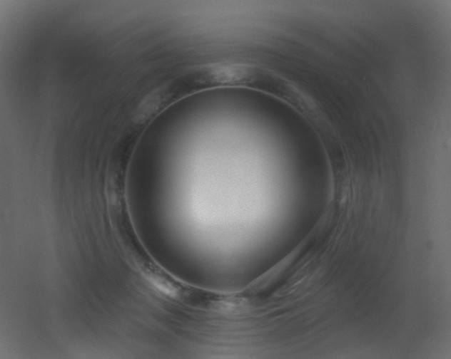 X0000053080317200507111251