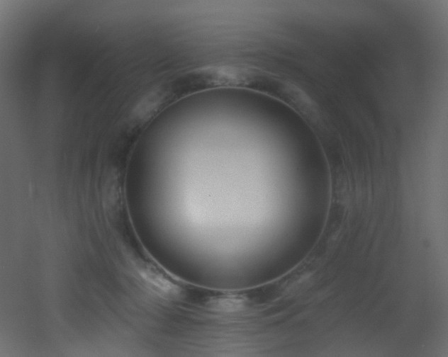X0000053080318200507111251