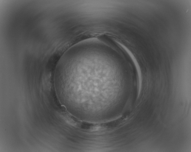 X0000053080319200507111251