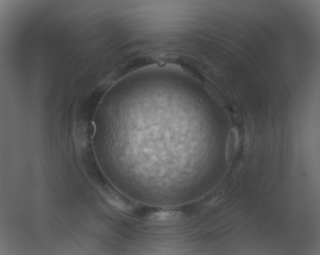 X0000053080323200507111251