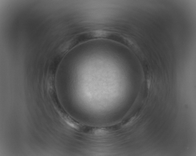 X0000053080325200507111251