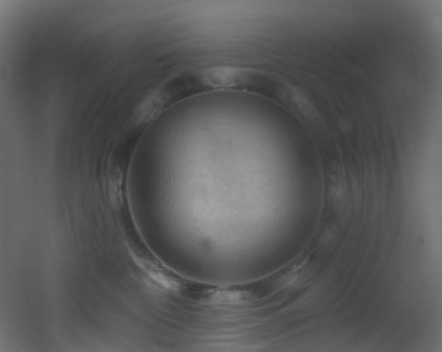 X0000053080332200507111251