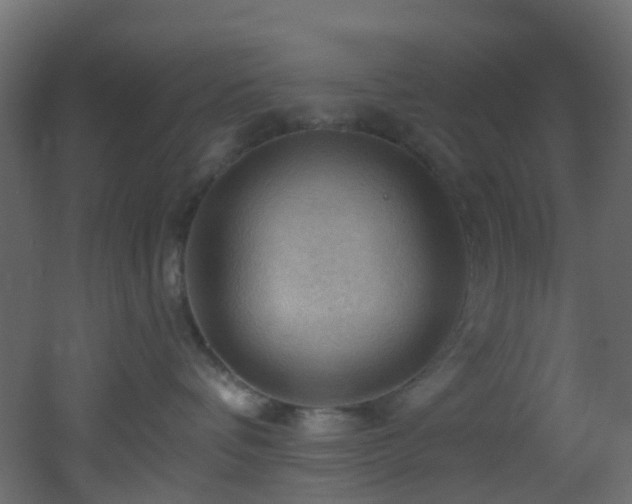 X0000053080336200507111251