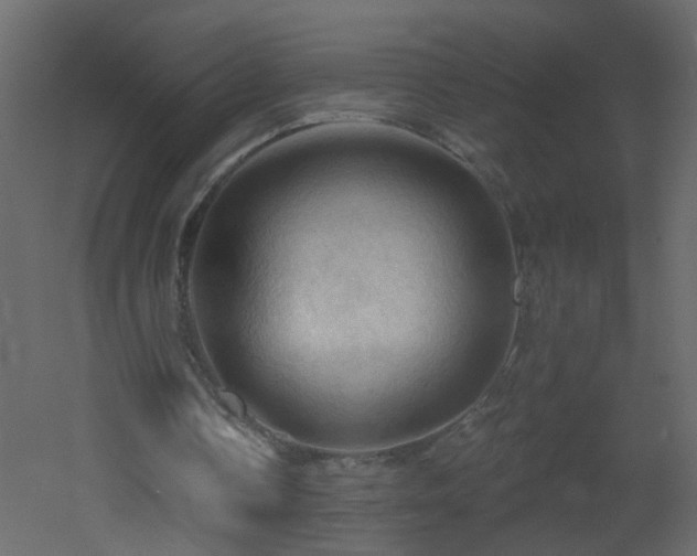 X0000053080338200507111250