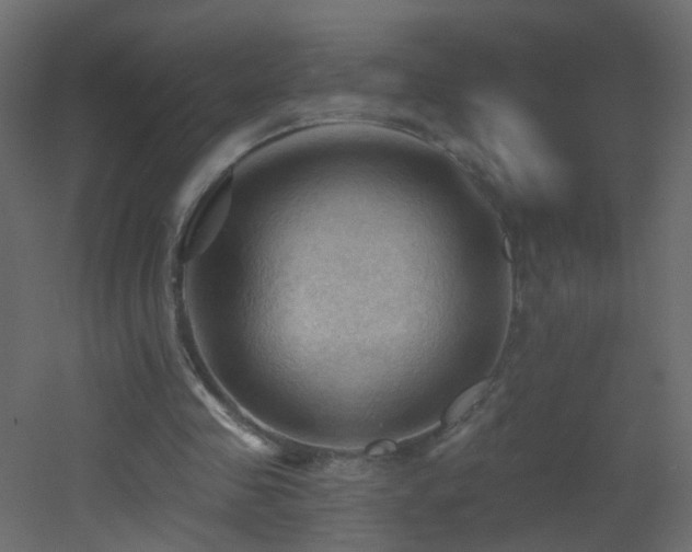 X0000053080341200507111250