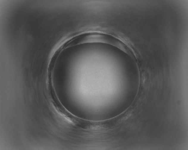 X0000053080344200507111250