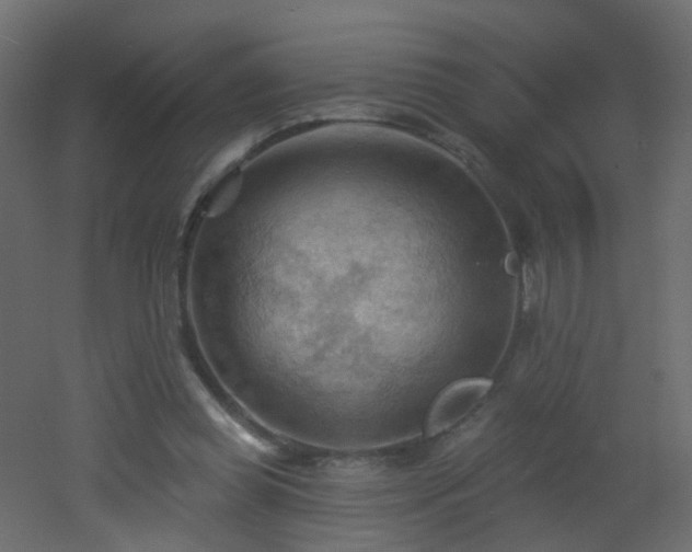 X0000053080349200507111250