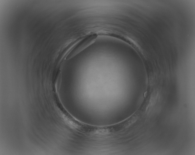 X0000053080353200507111250