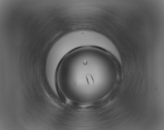 X0000053080356200507111250