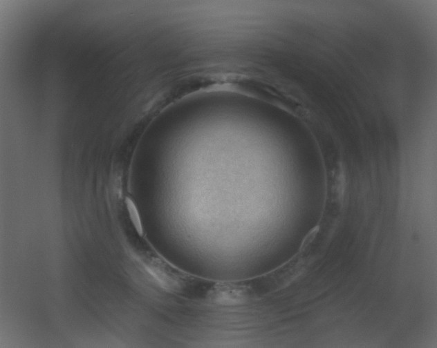 X0000053080368200507111250