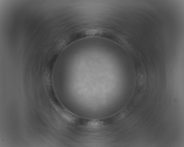 X0000053080375200507111251