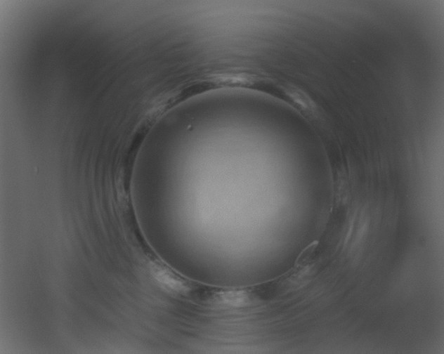 X0000053080377200507111251