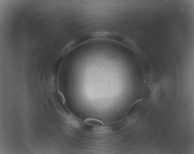 X0000053080378200507111251