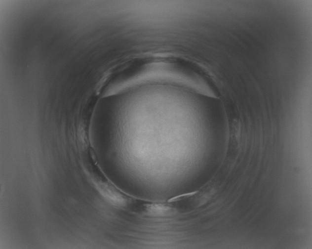 X0000053080380200507111251