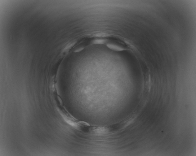 X0000053080383200507111251