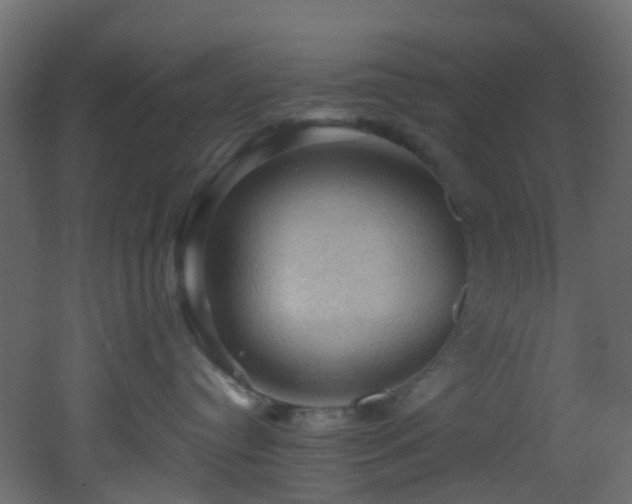 X0000053080384200507111251
