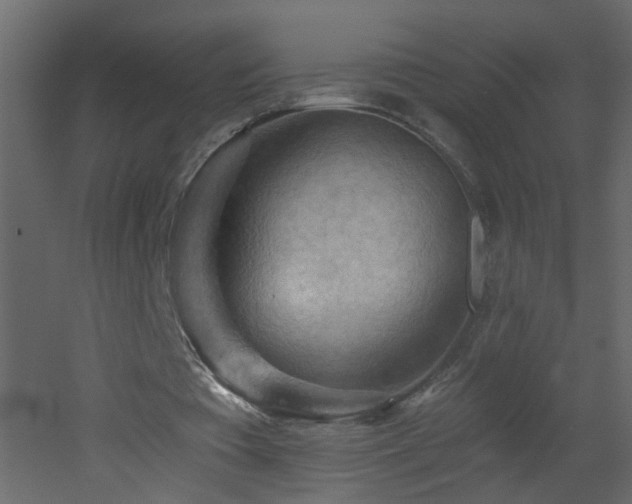 X0000053080385200507111250