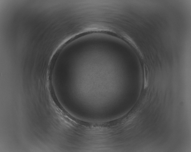 X0000053080387200507111250