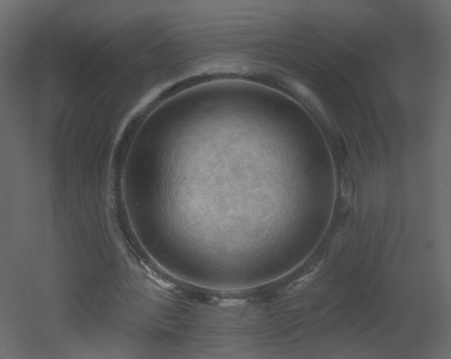 X0000053080388200507111250