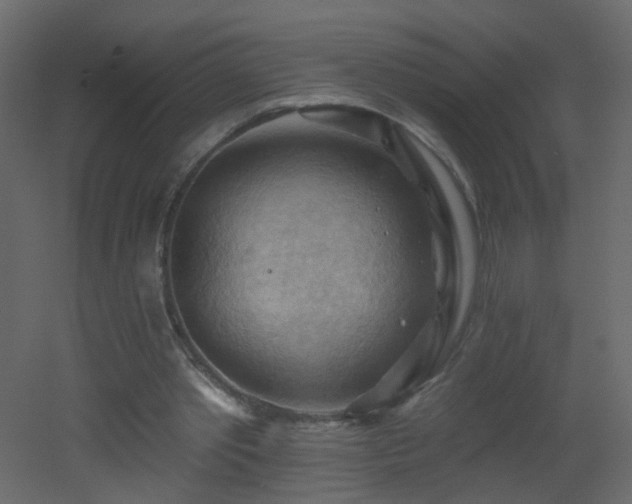 X0000053080389200507111250