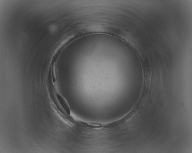 X0000053080390200507111250