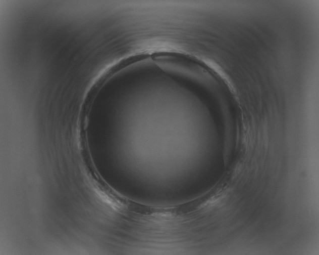 X0000053080391200507111250