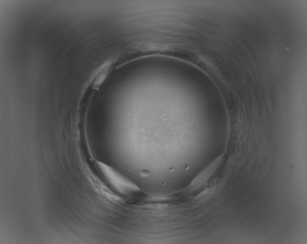 X0000053080395200507111250