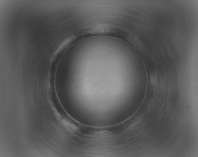 X0000053080396200507111250
